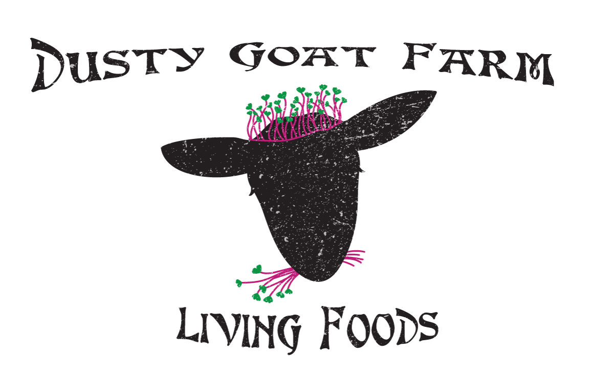 Dusty Goat Farm Living Foods MA